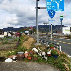 ９号線沿い牧店いろいろ置いて有りますの画像