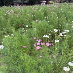 楽しくお話ししましょう^_^ − 東京都