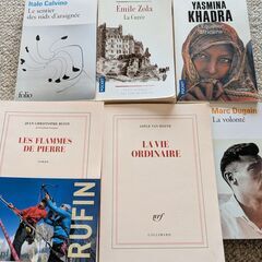 小説（フランス語）
