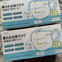 新品　マスク100枚