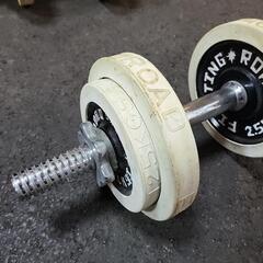 ダンベルの画像