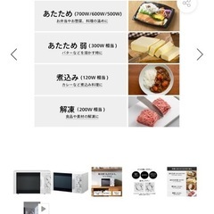 電子レンジ　ツインバード　の画像