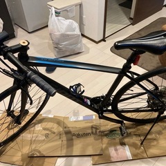 　GIANT ESCAPE RX DISC