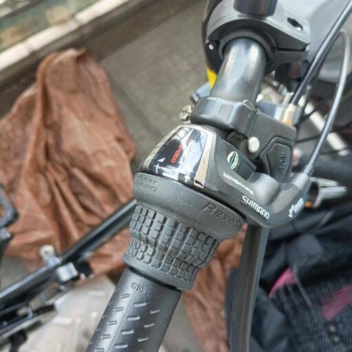 武田産業 折りたたみ自転車 イーストビュート 206HD [20インチ