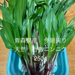 行者ニンニク