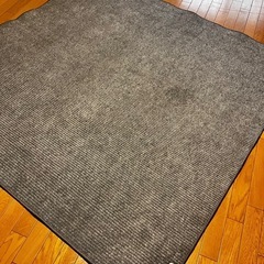 ホットカーペットの画像