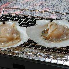 『魚と語らい、船と昼時間を味わう会 〜恵比寿の昼下がりに〜』