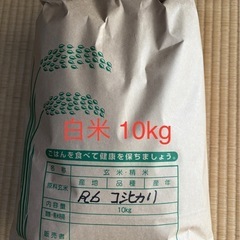 R６年秋収穫　但馬コシヒカリ(10kg) 