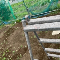 鉄製の脚立の画像