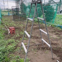 鉄製の脚立の画像