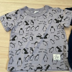 110 半袖 シシュノン ムージョンジョンの画像