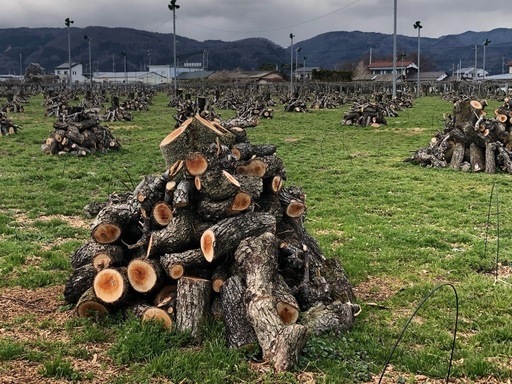 期間限定！冬切りの玉薪1t車1台分40,000円！