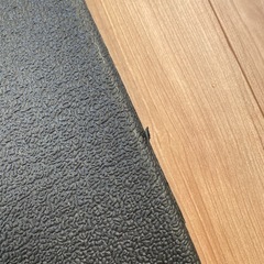 フロアマット　100×150の画像