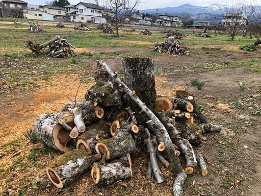 期間限定！冬切りの玉薪1t車1台分40,000円！