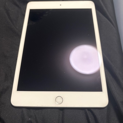iPad mini 第5世代 2019 セルラーモデル　SIMフリー　64gb 