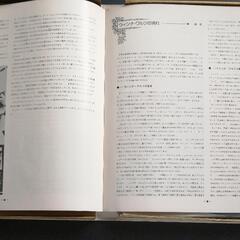 決定盤ウィンナワルツ決定盤LP10枚組の画像
