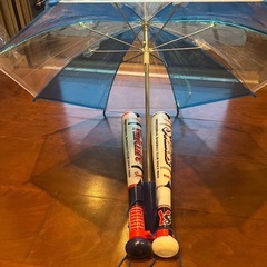 東京ヤクルトスワローズ　応援グッズ
の画像