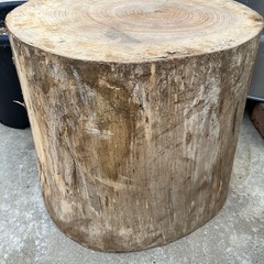 天然　切り株の画像