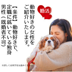 💕婚活クラブ💕動物好きの女性をご紹介いたします💕動物好きで定職に就いている独身男性限定企画💕の画像