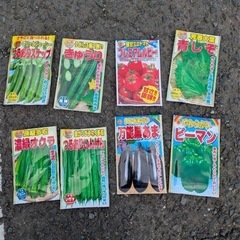 今年も農作業頑張るぞー( *˙0˙*)۶‼️