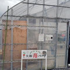 🍓いちご狩りへいきました。