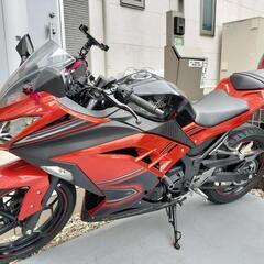 カワサキニンジャ250 スペシャルエディション2014年式
