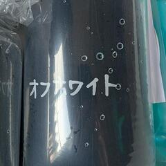 メダカ　オフホワイト稚魚　4匹の画像