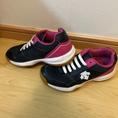 値下げしました⭐︎バレーシューズの画像