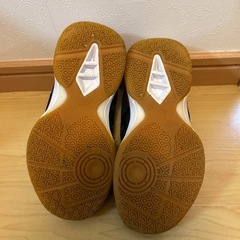 値下げしました⭐︎バレーシューズの画像