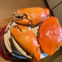 フラッと飲み友募集 − 沖縄県