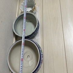 寄せ植え鉢セットの画像