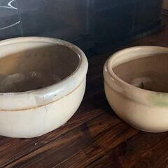 大きな鉢　睡蓮鉢に