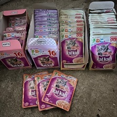 子猫用 ウエットフード