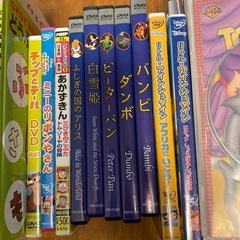 幼児向け絵本17冊、DVD11本の画像
