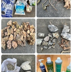 早く来れる方！！アクアリウム　水槽　引退　水草水槽の画像