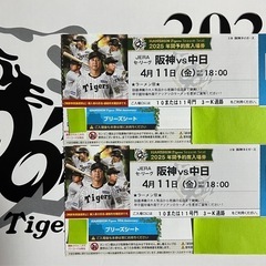 4/11阪神タイガースVs中日ドラゴンズ

