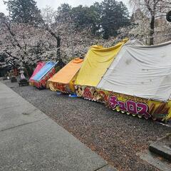 ※下鶴間※諏訪神社🌸花見🌸露店※テキヤ※祭の画像