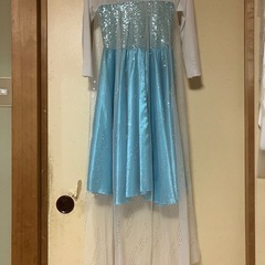 エルサドレスセットの画像