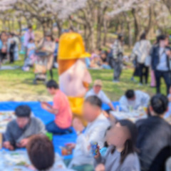 お花見🌸4月20日開催)@鳥屋野潟公園
