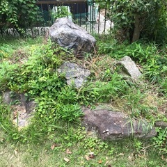 無料！転売OK 高級日本庭園用の　庭石 無料で差し上げますの画像