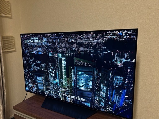 有機ELテレビ　LG 48CXPJA