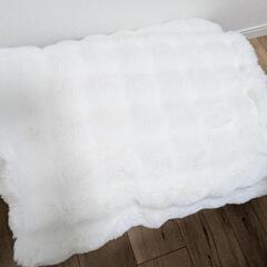 セット売り　ニトリ２枚合わせ毛布ポコポコシングル