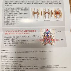 【未開封品5500→2000円】ほねつぎHOTの画像
