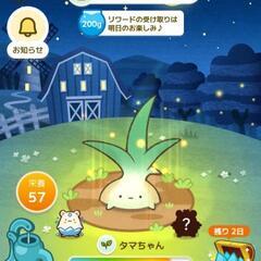 カウシェファーム友達募集！