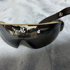 オリビエ・ペリエ騎手使用のゴーグルの画像