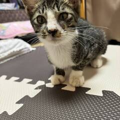 【5月14日現在、夜勤スタッフ募集中】社会貢献型 障がい者グループホームの画像