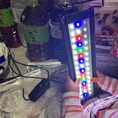 ledライト 水槽の画像