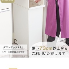 KEYUCA 42Lゴミ箱２個セットの画像