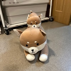 柴犬ひんやりぬいぐるみ