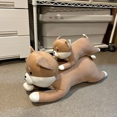柴犬ひんやりぬいぐるみの画像